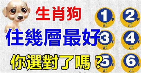 生肖適合樓層|【生肖 樓層】12生肖選對樓層旺運指南！你的屬相住幾樓最好。